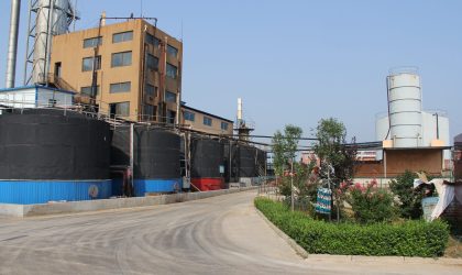 Saint Humic Acid Plant