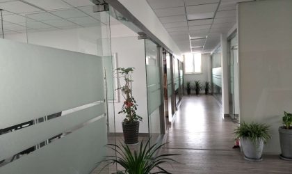 Saint Humic Acid Office