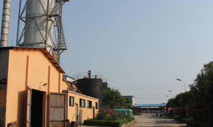 Saint Humic Acid Plant