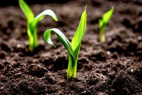 Humic acid sodium salt