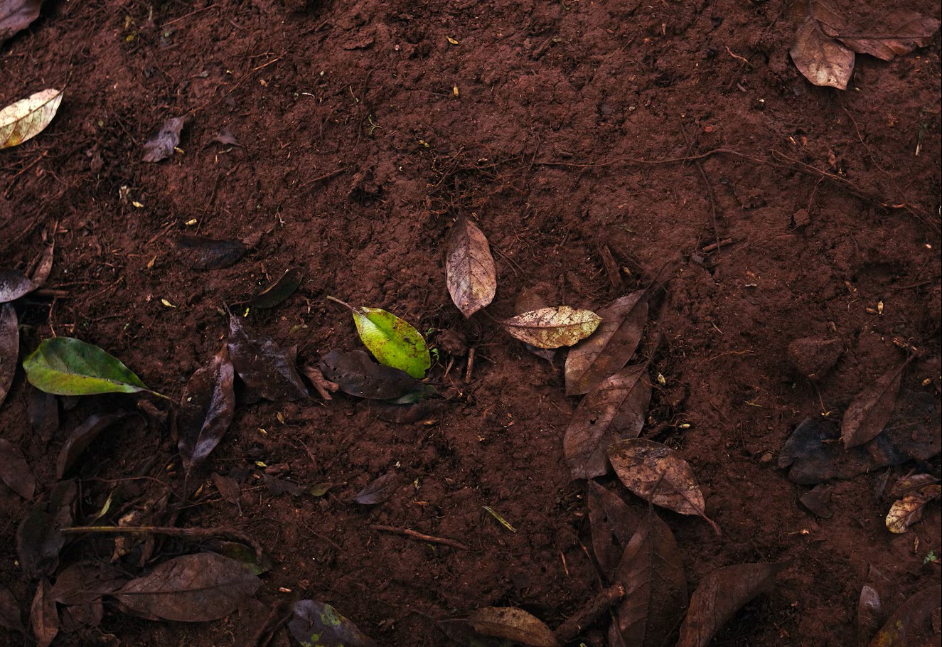 Potassium humate is used for soil fertility