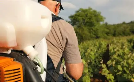 How to use Humic Acid in the garden?