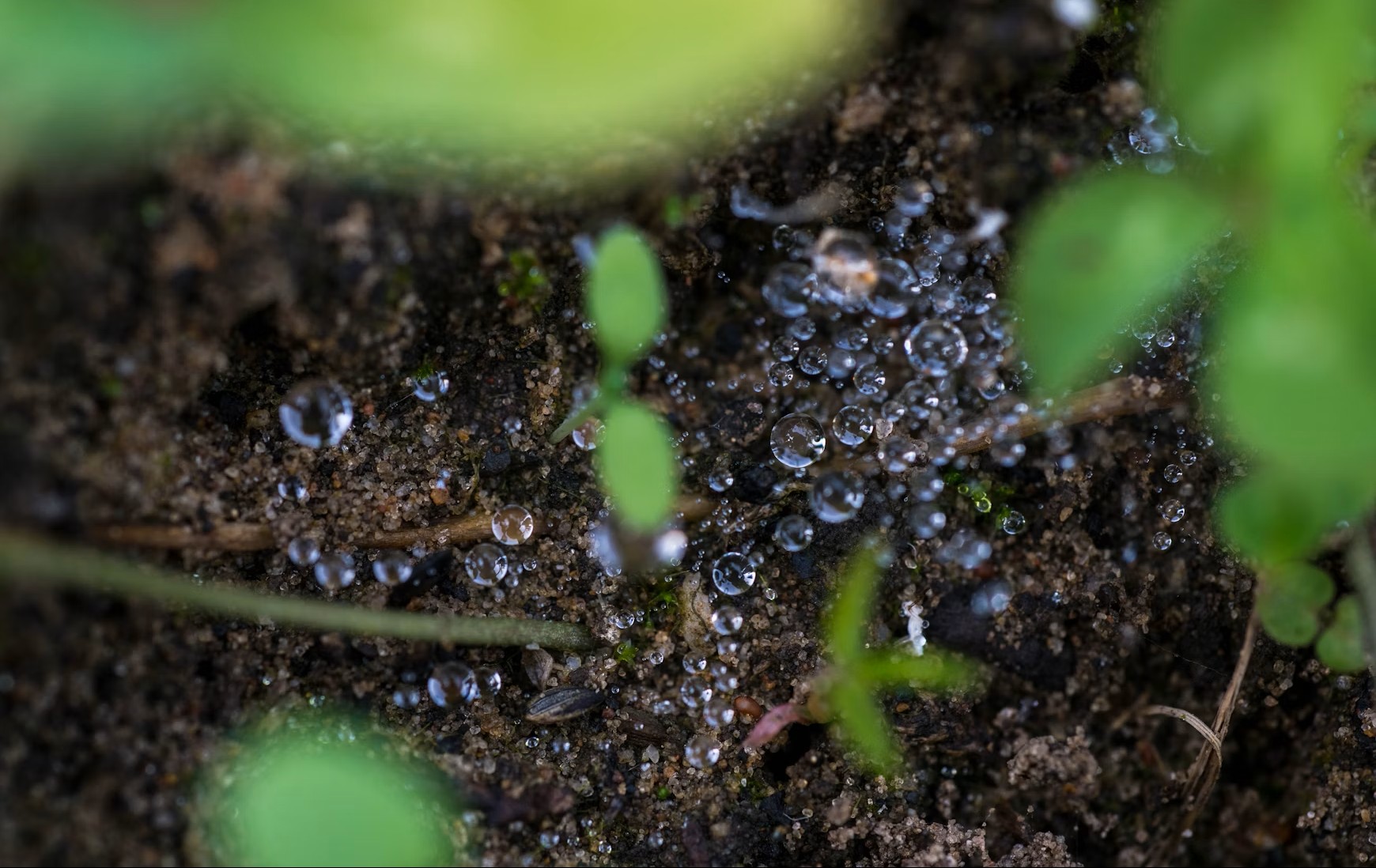 Humic acid is derived from peat
