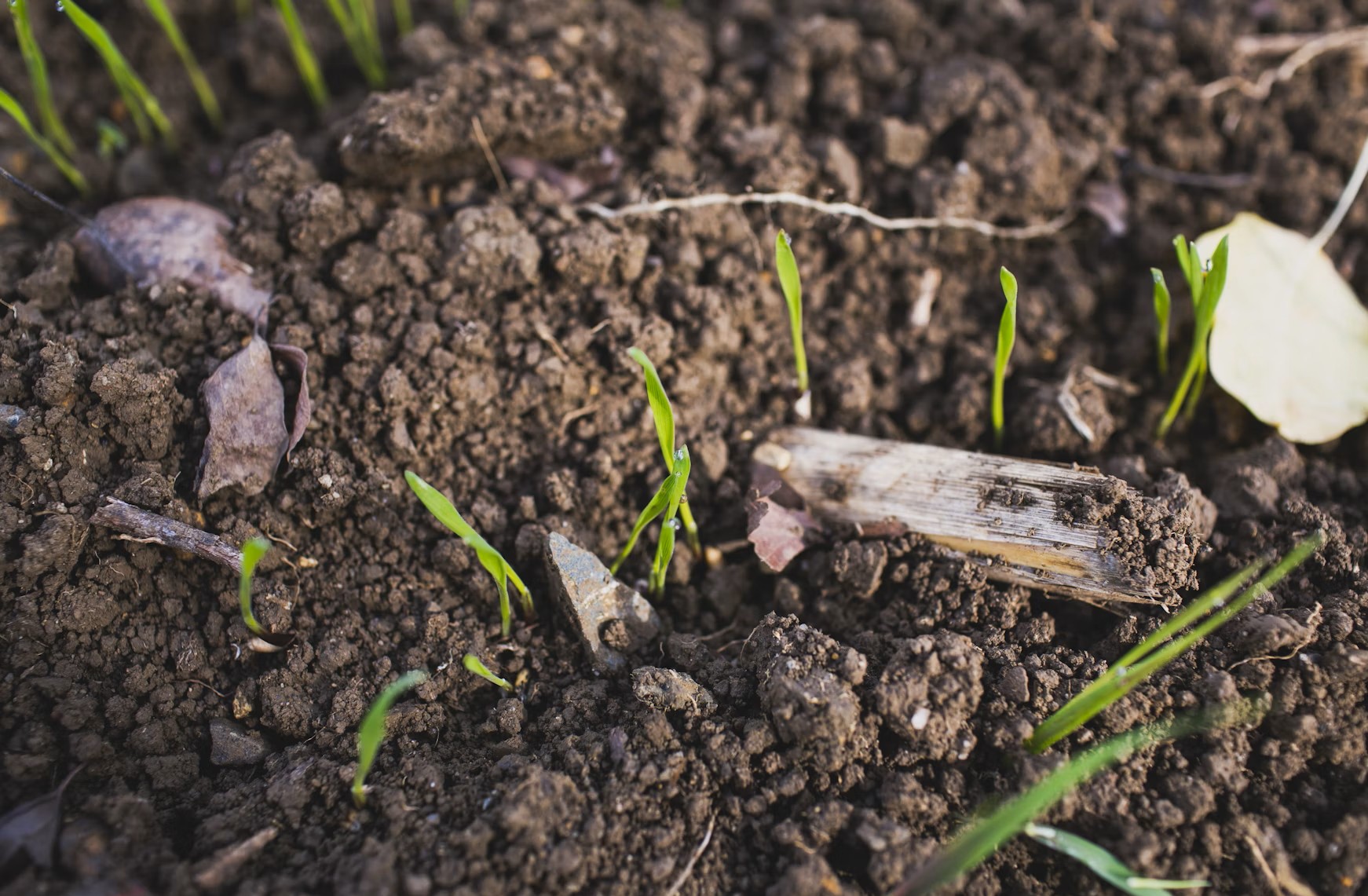 Anti-Flocculation Potassium Fulvate