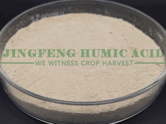 Amino Acid (Animal Source)