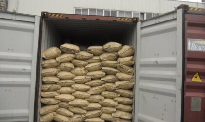 Kraft paper bags of humic acid loaded into a shipping container